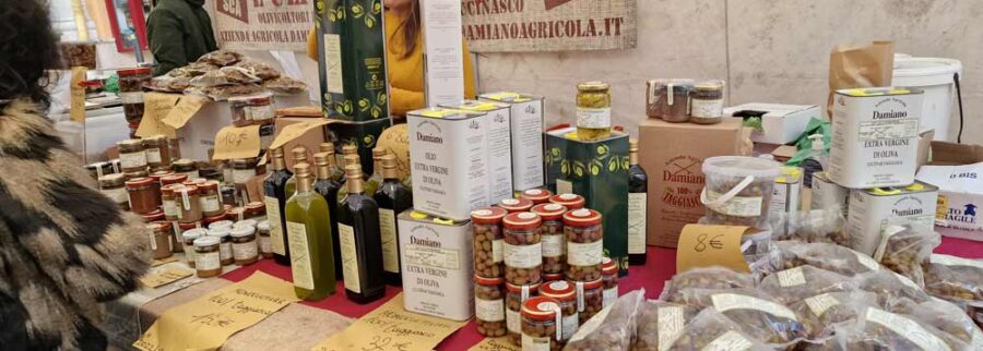 All about olive trees Products