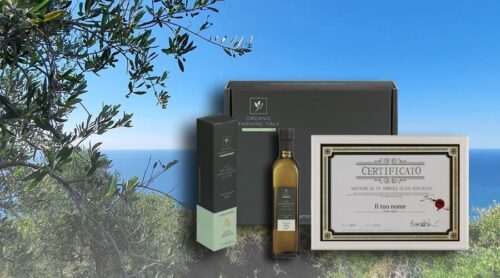 Olive tree sponsorship gift package complete