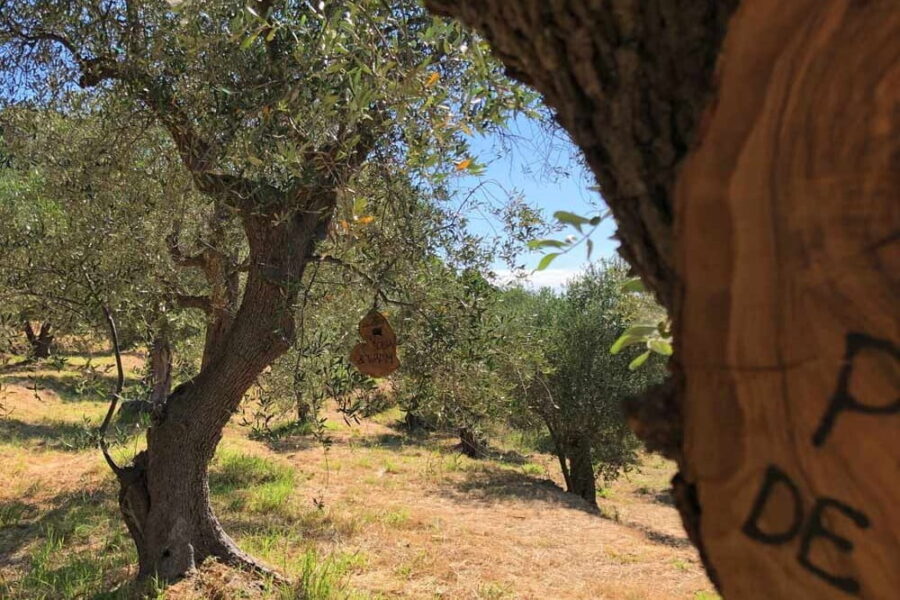 Organische Landwirtschaft in Italien Holzschild